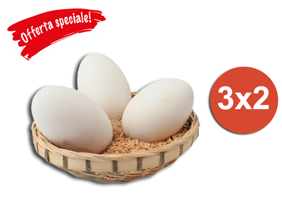Immagine di Promo - compri 3 uova d'oca ne paghi 2!