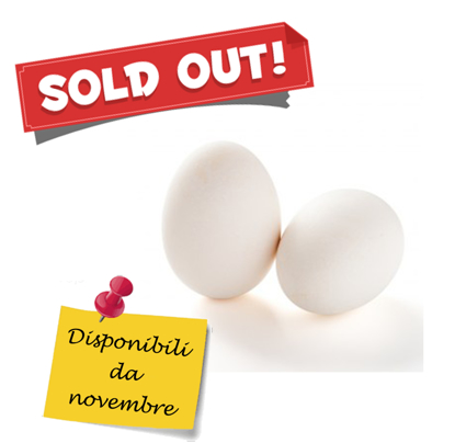 Picture of Goose egg