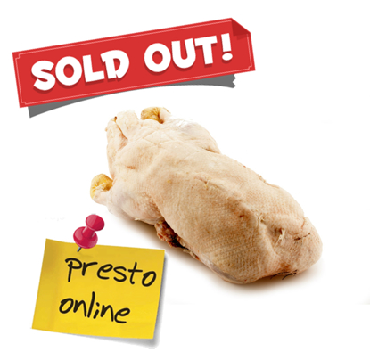 Immagine di Oca busto